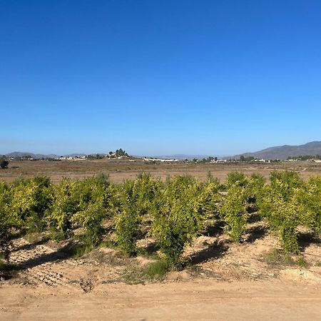 Villas Persas By Jardin De Persia Valle de Guadalupe Eksteriør bilde